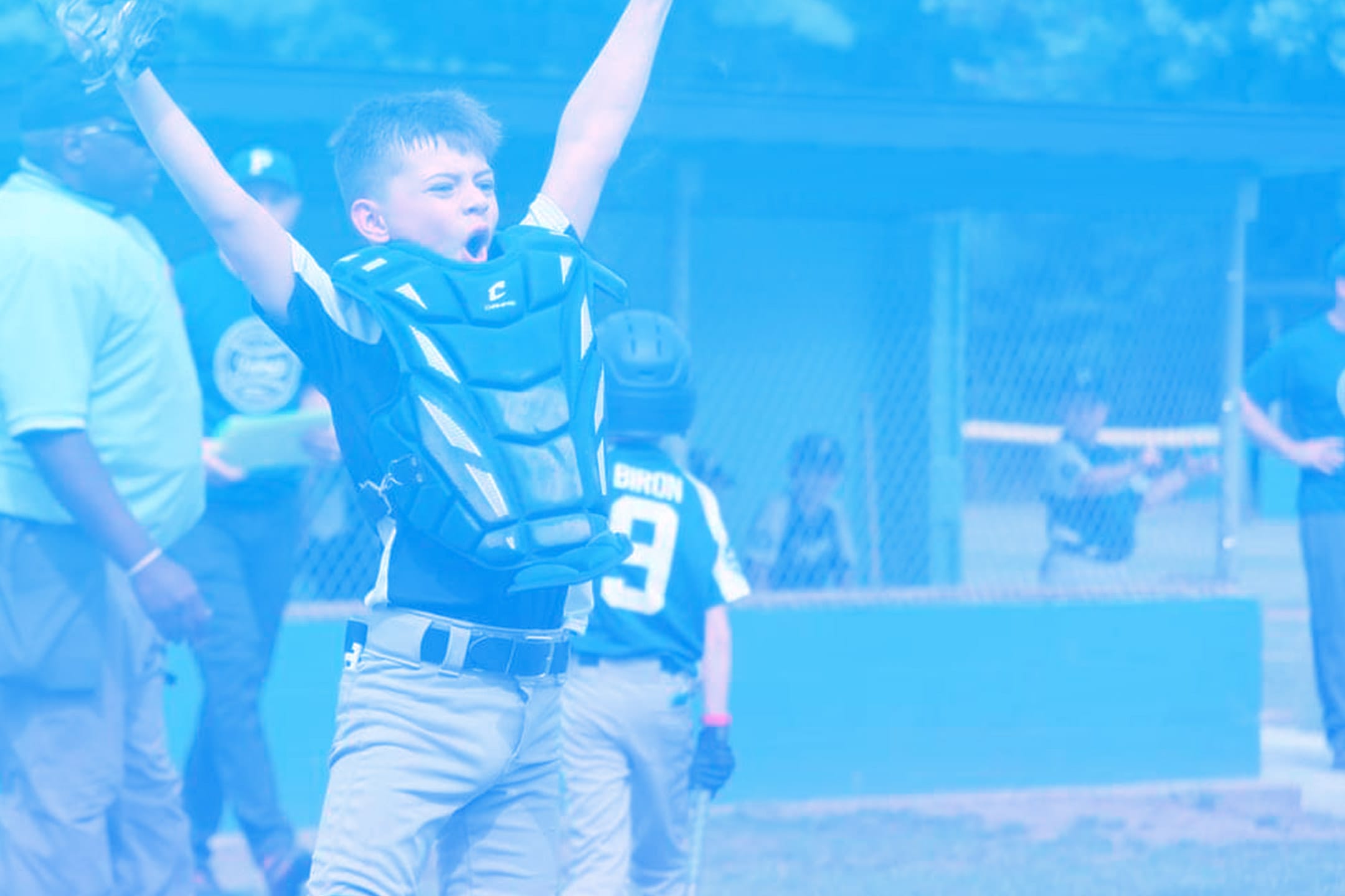 Palmer Youth Baseball and Softball